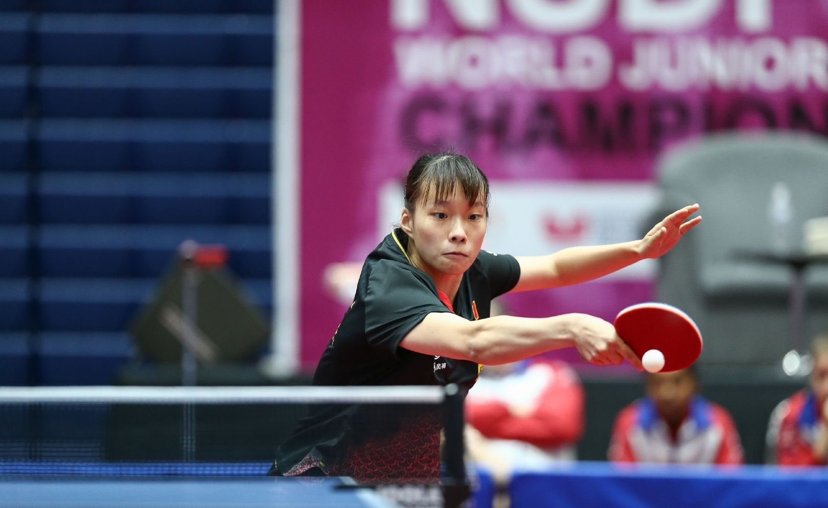 而是每一个 而是每一个