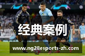 经典案例
